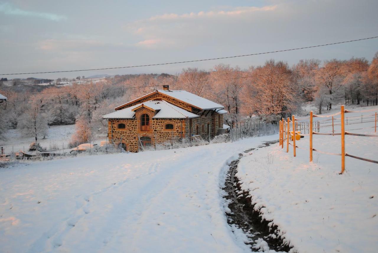 Domaine De La Poyat Légny Exterior foto