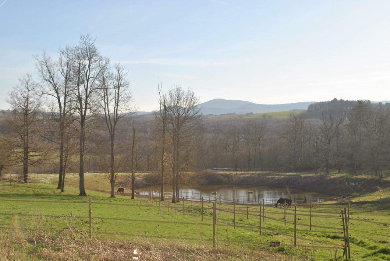 Domaine De La Poyat Légny Exterior foto